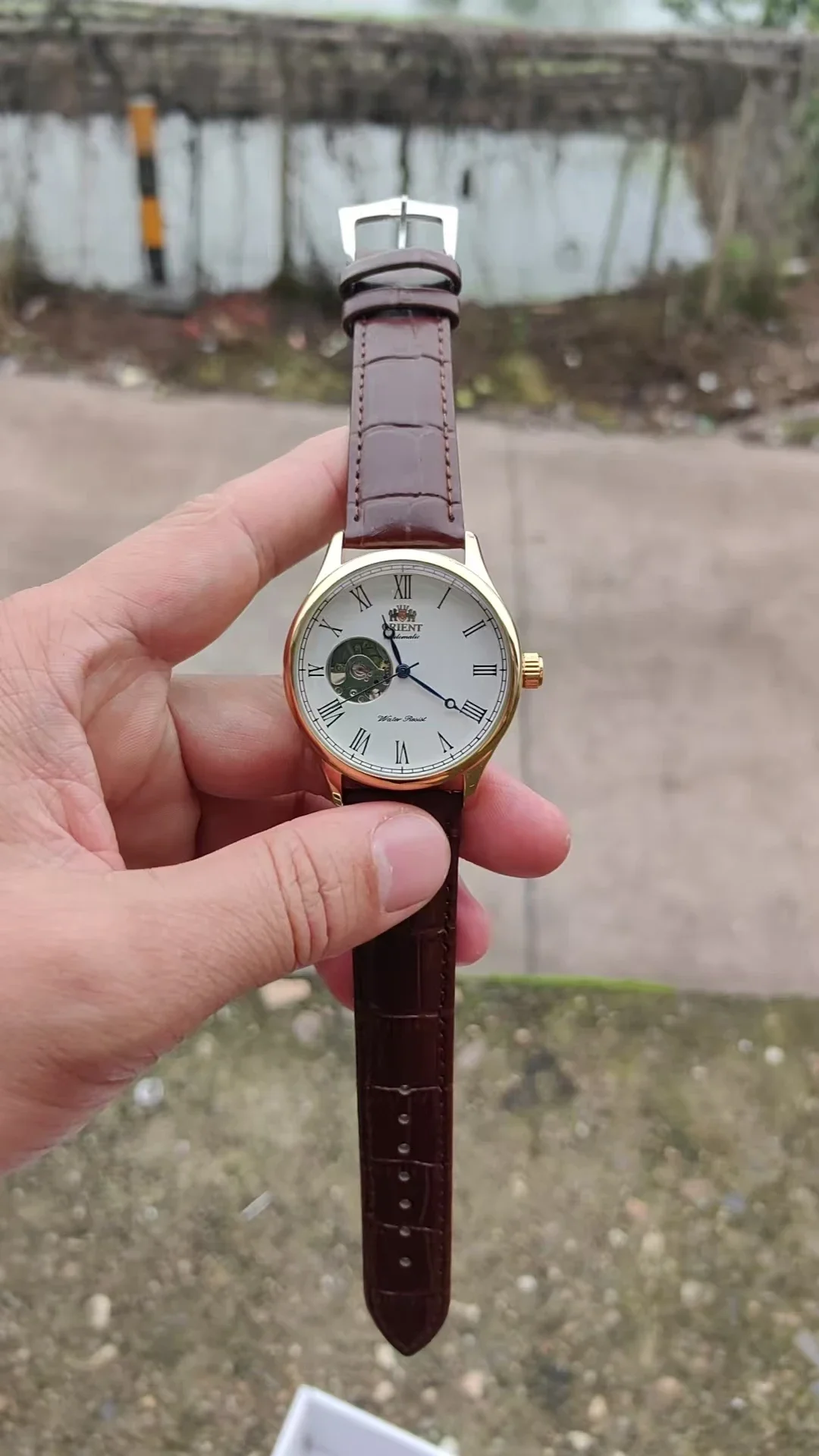 Orologio Scheletrato Meccanico - Seiko Watch Presage recensione e prezzo